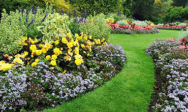Colorful flower beds with perfectly manicured lawn edges — hedge and shrub trimming services
